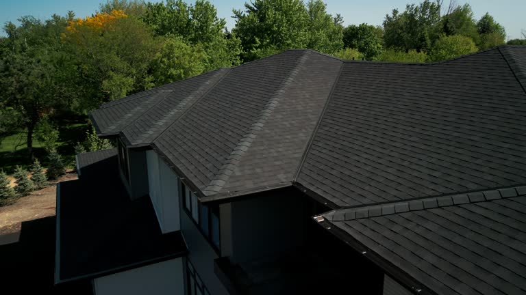 Best Slate Roofing  in Monee, IL